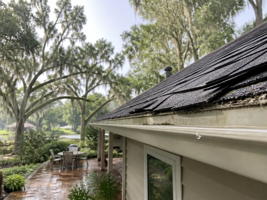 Common Roof Warning Signs Homeowners Should Watch For